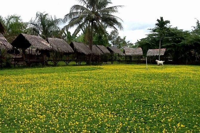 du lịch Sông Hàm Luông - Hình 5