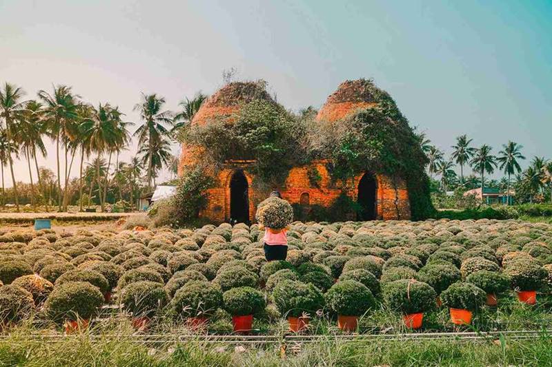 du lịch Vườn trái cây Cái Mơn - Hình 4