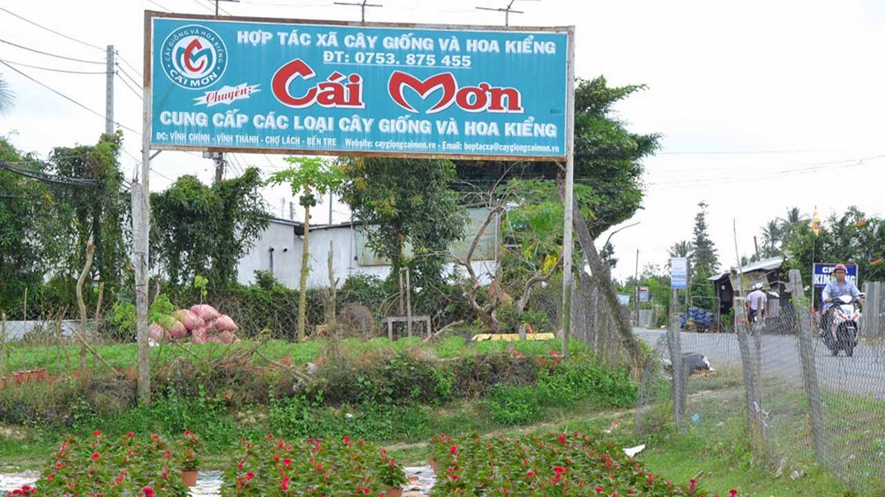 du lịch Vườn trái cây Chợ Lách - Hình 5