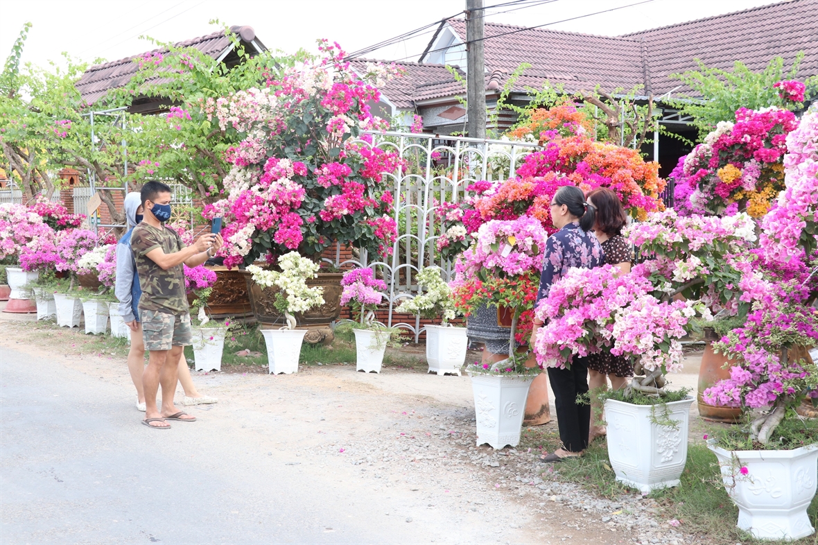 du lịch Vương quốc hoa kiểng Chợ Lách - Hình 3