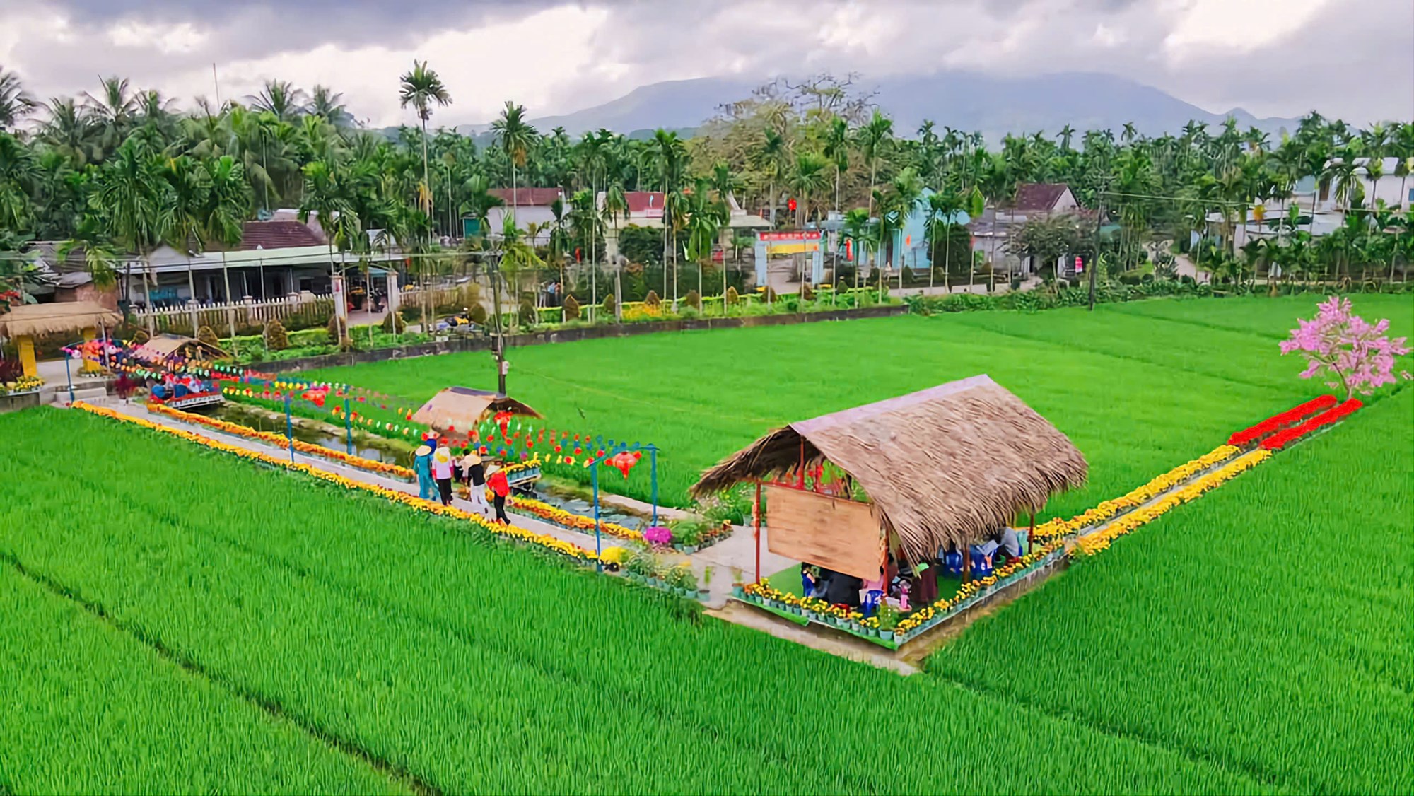 du lịch Xã Bình Thành - Hình 1