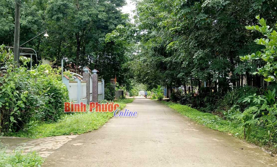 du lịch Xã Lộc Thuận - Hình 5