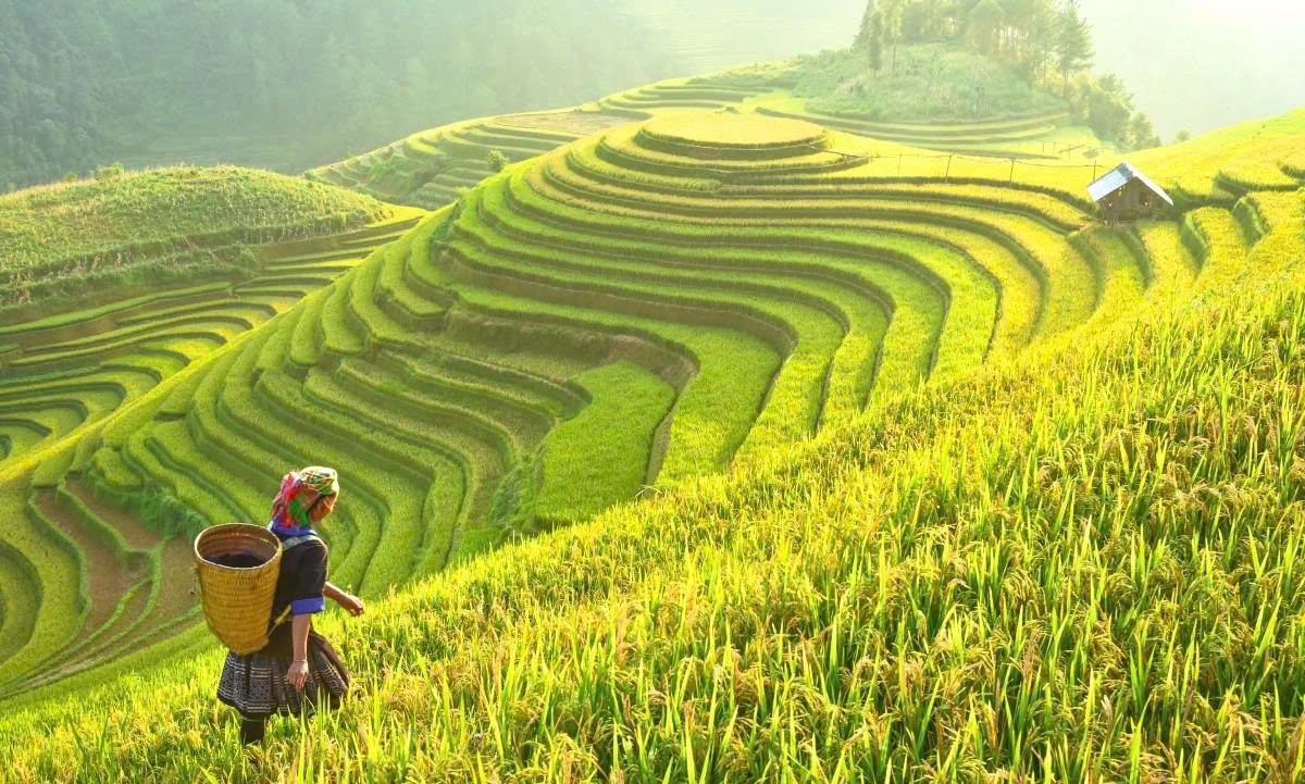 du lịch Xã Minh Đức - Hình 4