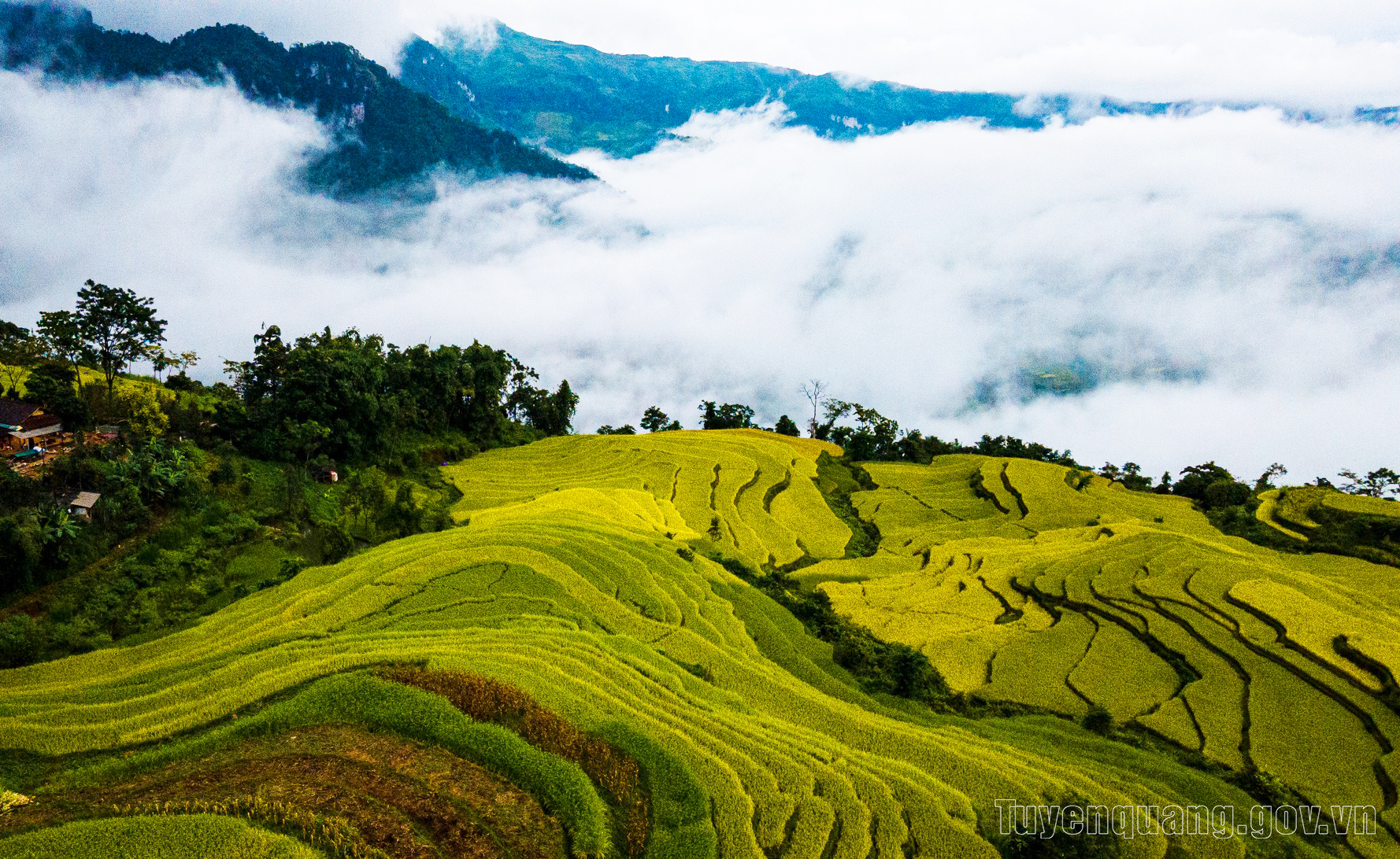 du lịch Xã Tân Mỹ - Hình 4