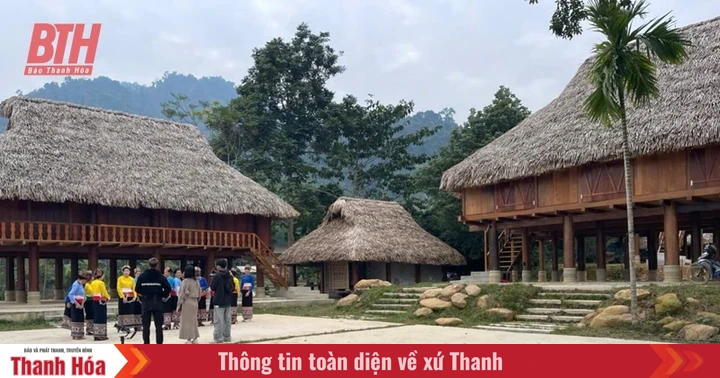 du lịch Xã Thạnh Phong - Hình 4