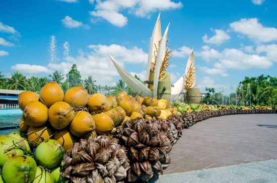 đường hoa dừa Bến Tre - Hình 5