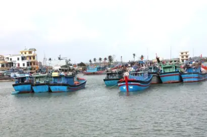 hải sản Bình Đại - Hình 3