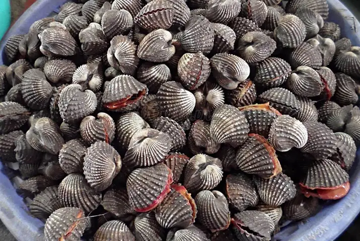 hải sản Bình Đại - Hình 1