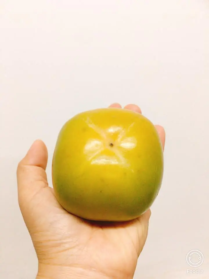 hồng Đà Lạt có mấy loại - Hình 2