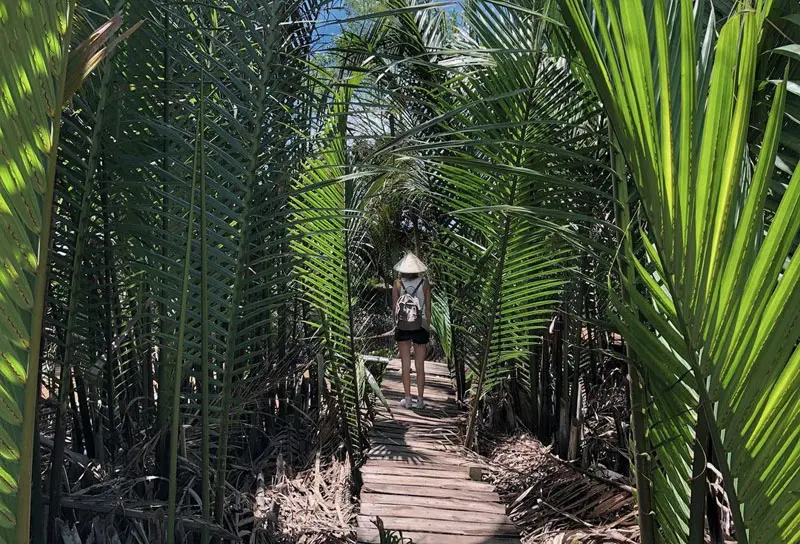 khám phá miệt vườn Bến Tre - Hình 3