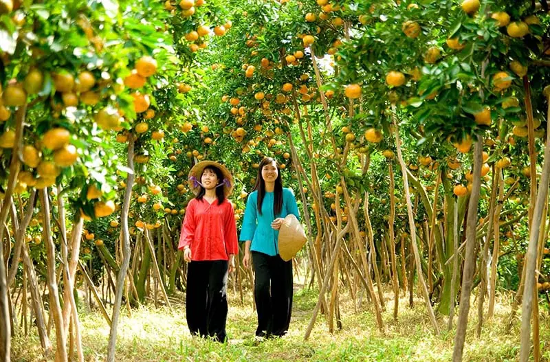 khám phá miệt vườn Bến Tre