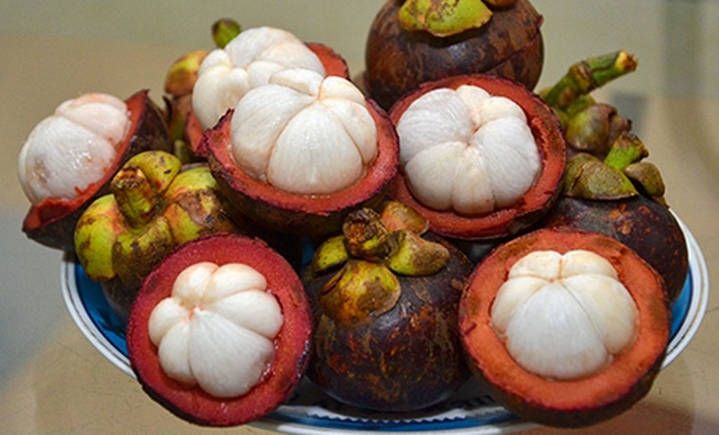 măng cụt Chợ Lách - Hình 2