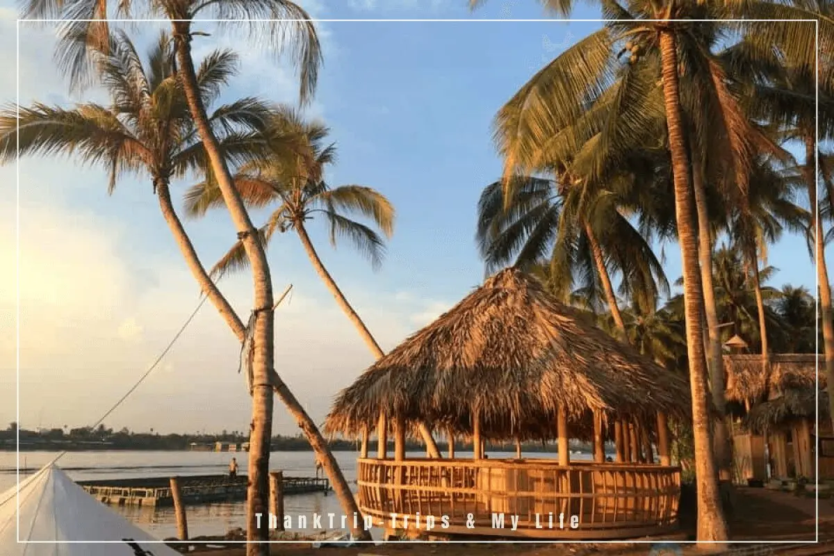 mùa nước nổi Bến Tre - Hình 4