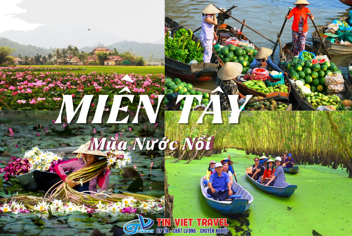 mùa nước nổi Bến Tre - Hình 5