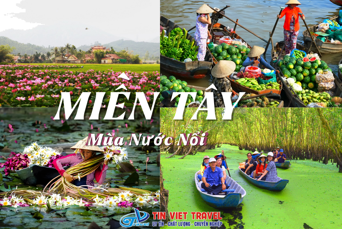mùa nước nổi Bến Tre - Hình 5