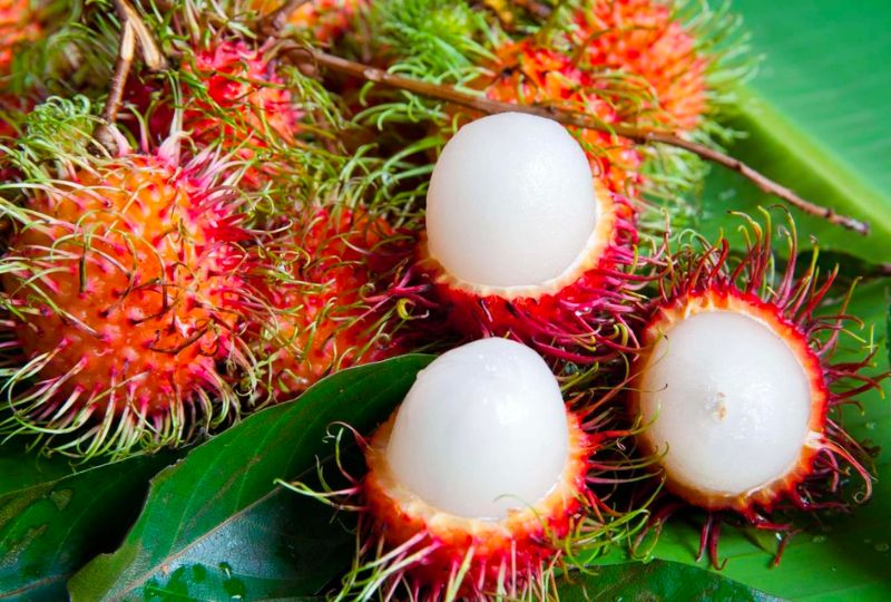 mùa trái cây Bến Tre - Hình 5