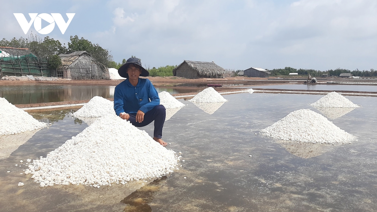 muối tôm Ba Tri - Hình 3