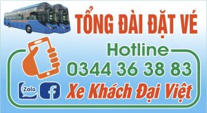 nhà xe đại việt limousine