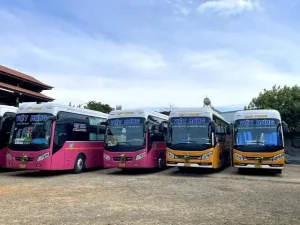 nhà xe gia việt