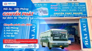 nhà xe hải âu