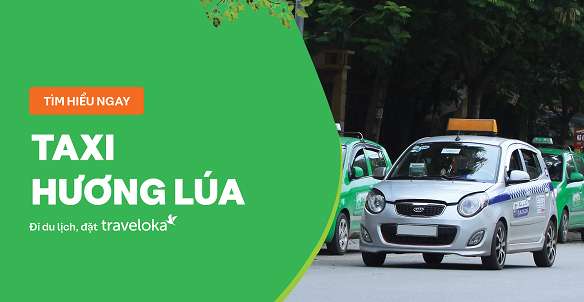 nhà xe hương lúa - Hình 4