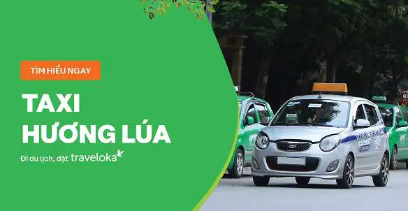 nhà xe hương lúa - Hình 4