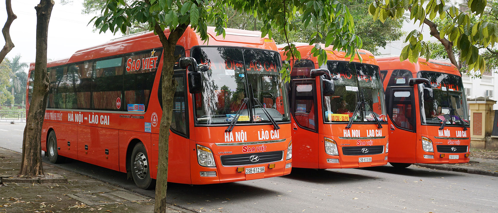 nhà xe sao việt - Hình 2