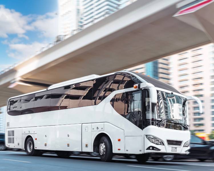 nhà xe tốt nhất - Hình 4