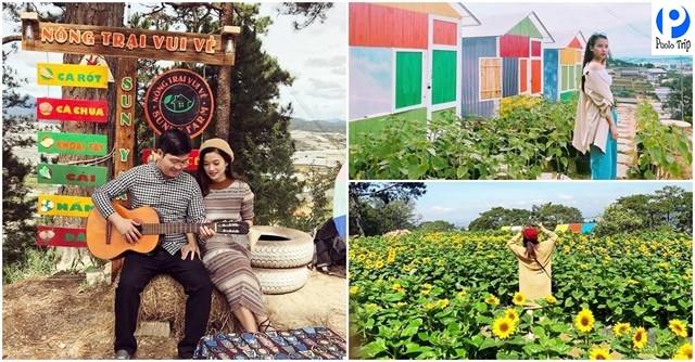 nông trại vui vẻ Sunny Farm - Hình 4