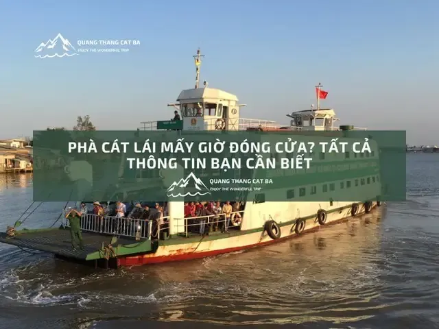 phà Cát Lái mấy giờ đóng cửa - Hình 3