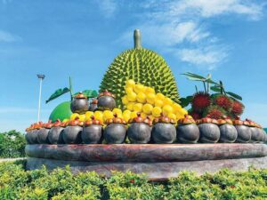 sầu riêng Chợ Lách