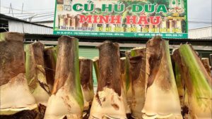 tàu hũ dừa Bến Tre