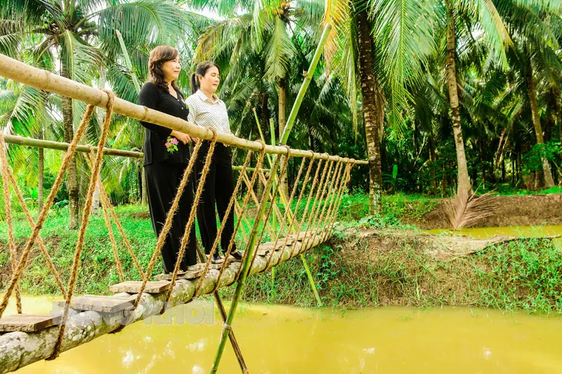 tham quan vườn dừa Bến Tre - Hình 5