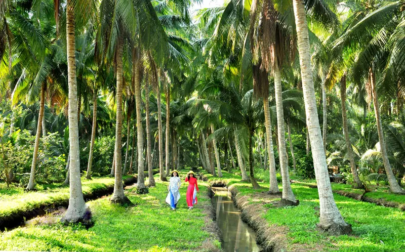 tham quan vườn dừa Bến Tre