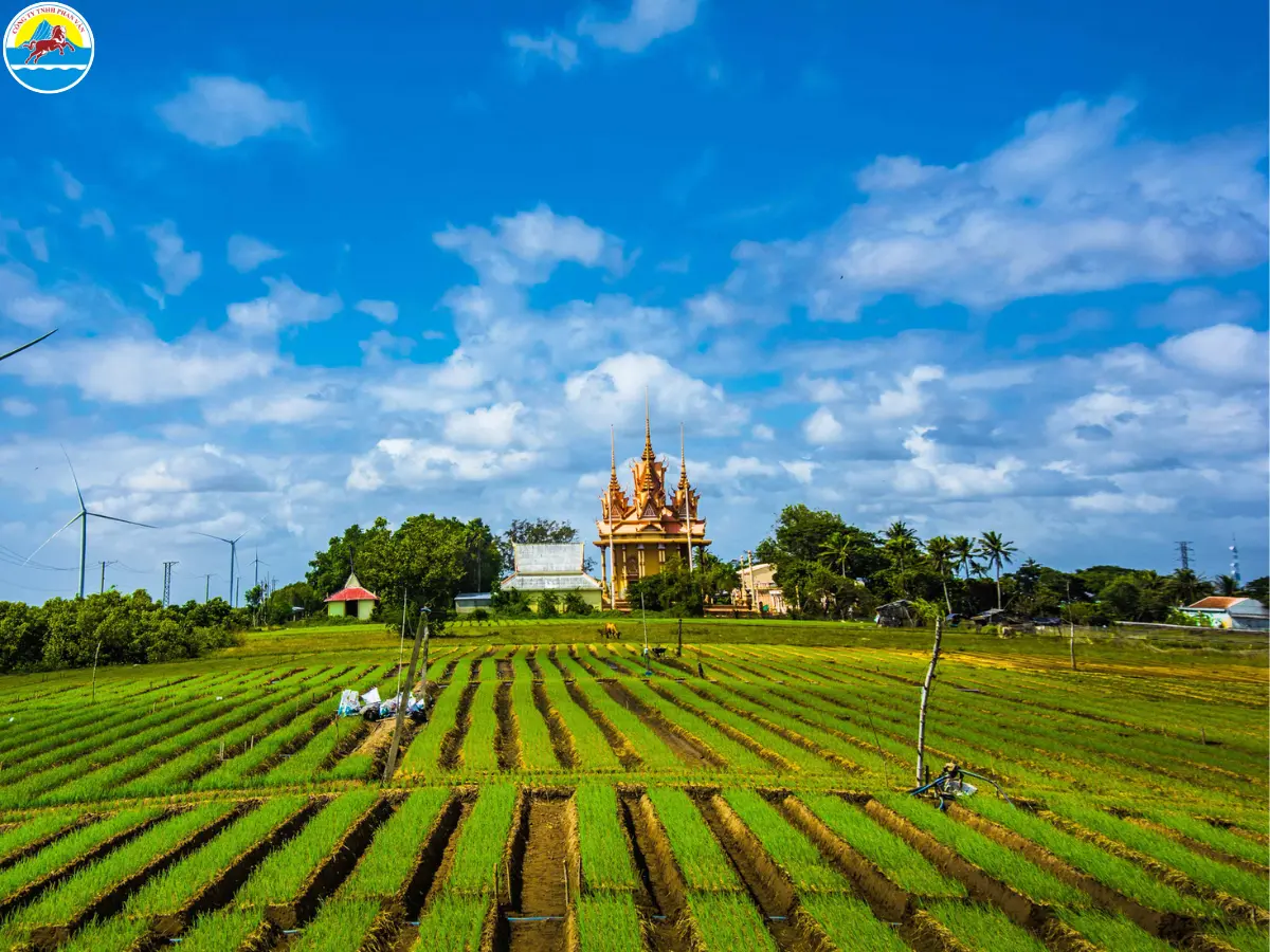 thị xã Vĩnh Châu Sóc Trăng - Hình 5